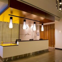 Reception 1
